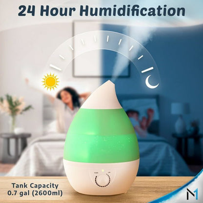 3 Litres Humidifier – Long &amp; Short Neck | Fresh, Clean &amp; Healthy Air