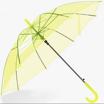 Transparent Umbrellas – Clear Coverage with Chic, Modern Style