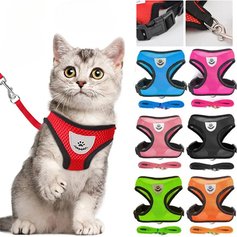 Cat Harness & Leash